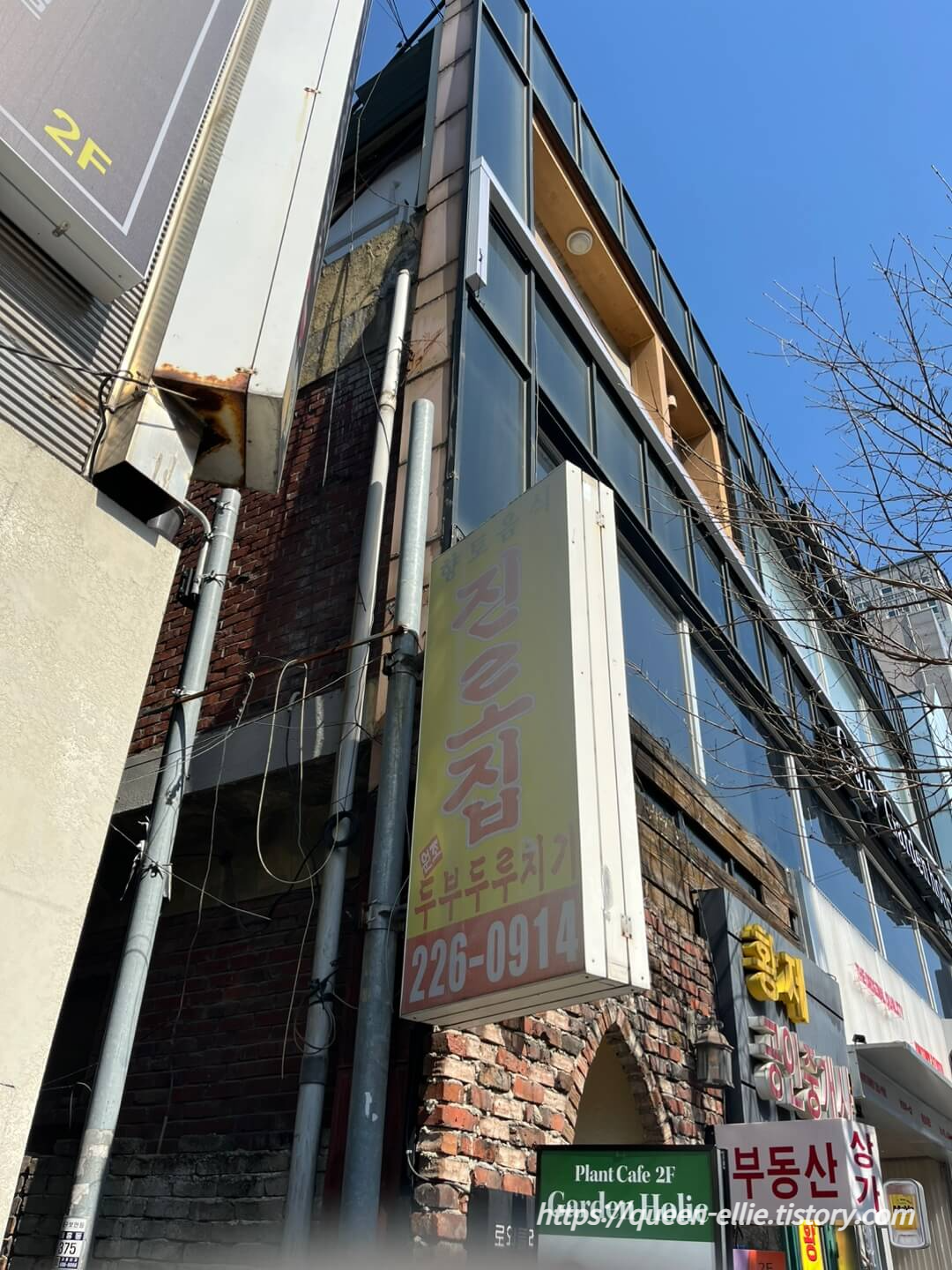 대전 맛집 진로집 두부두루치기 성심당