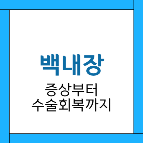백내장 증상 수술비용 수술후 회복기간 총정리