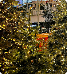 더 현대 서울 크리스마스 예약