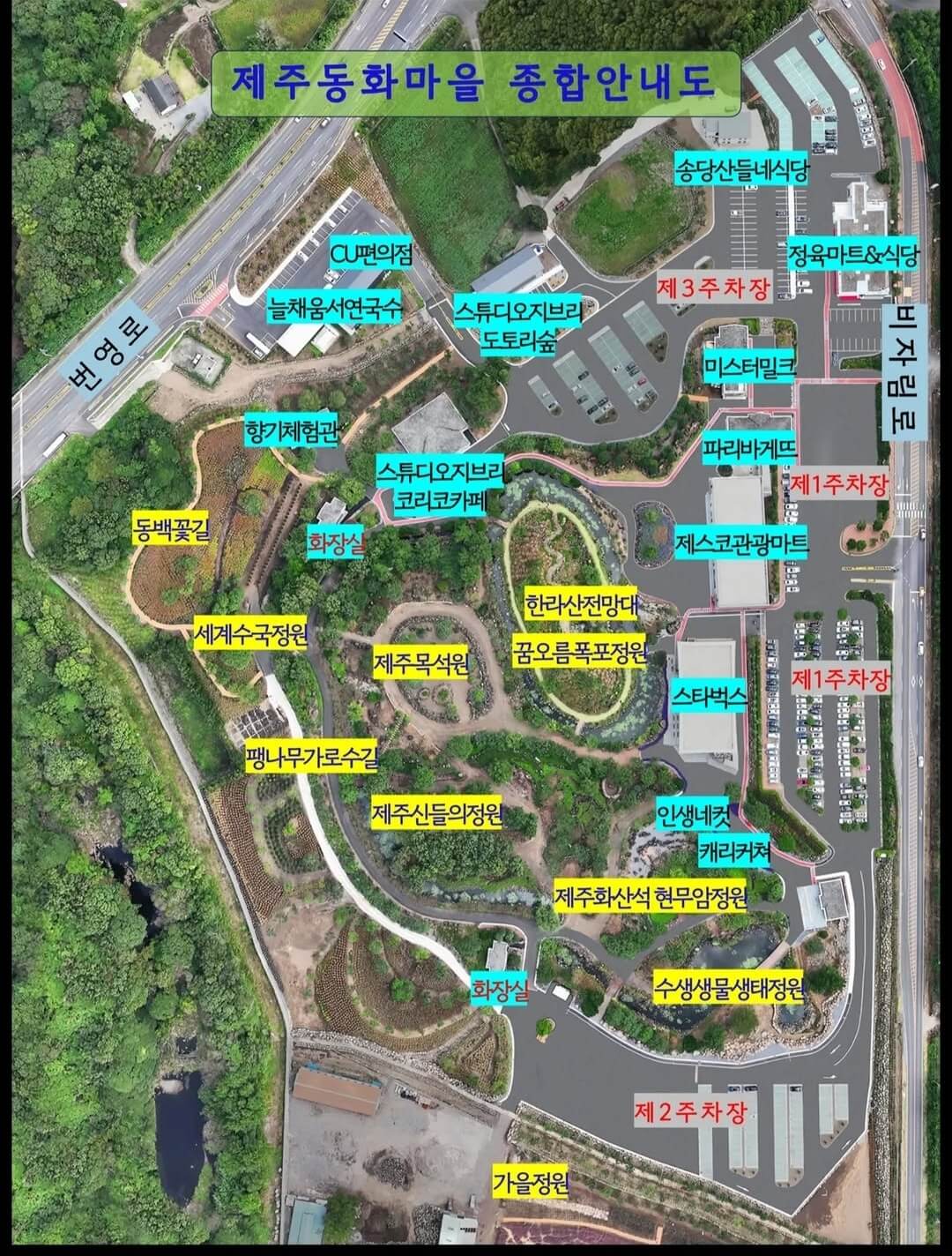 제주 송당 동화마을 수국