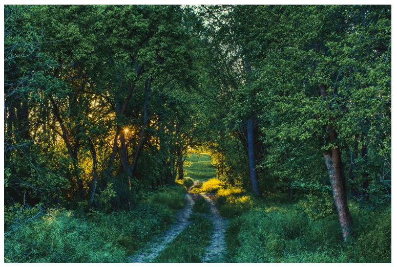 환경 관한 사진