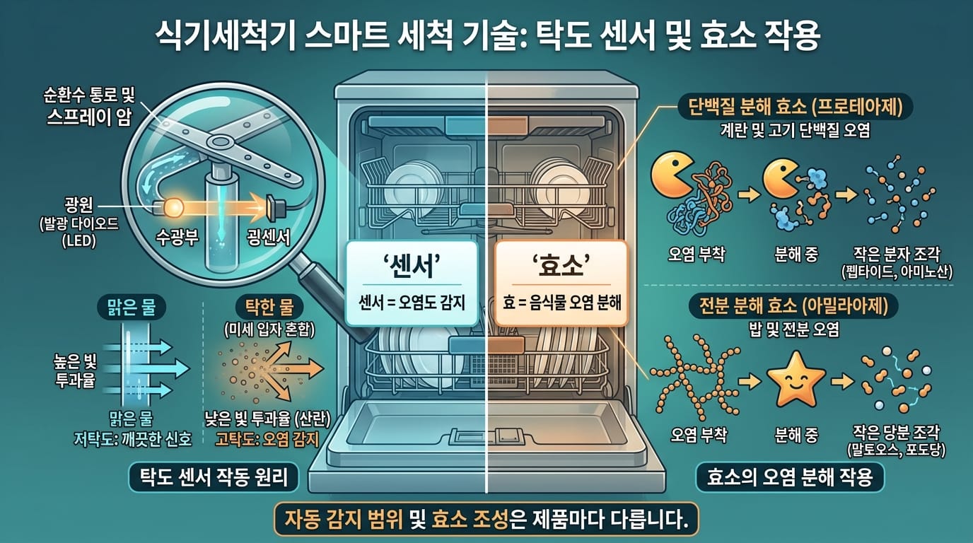 식기세척기 탁도 센서와 효소 세제 작동 원리 설명 이미지