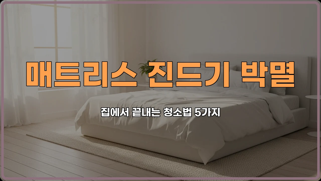 알레르기비염