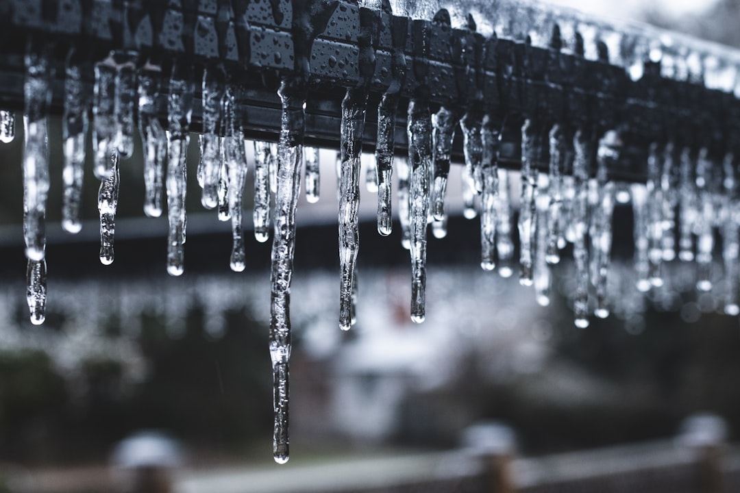 Ice Festival