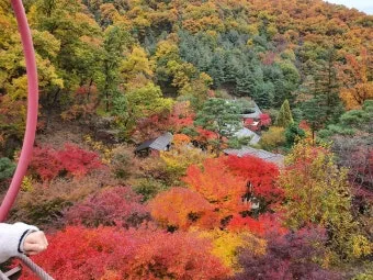 화담숲 예약하기 화담채 예약으로 절차정리_9