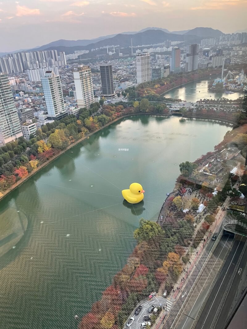 잠실 소피텔 클럽 럭셔리룸 레이크뷰 31층 러버덕 뷰