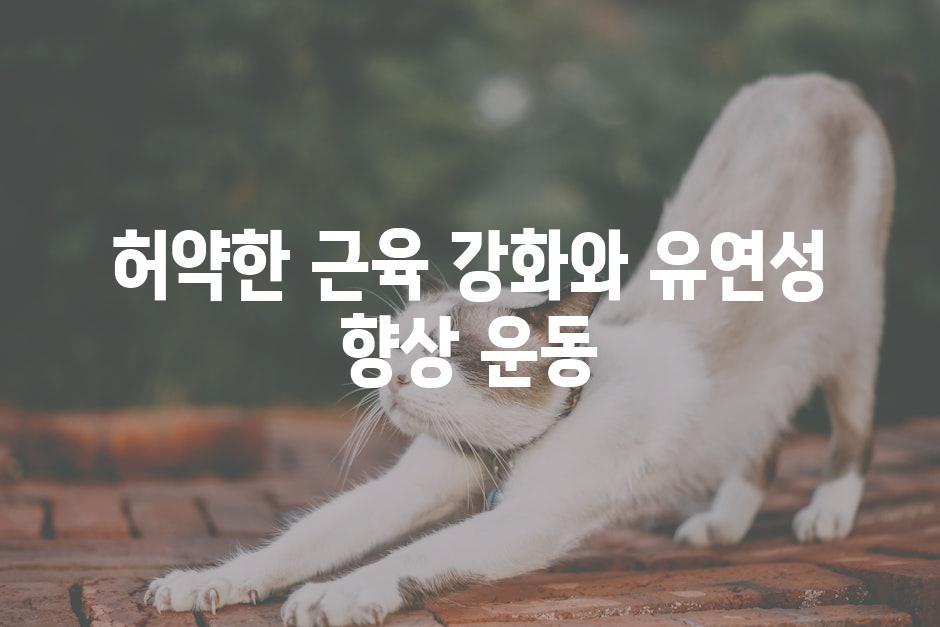 허약한 근육 강화와 유연성 향상 운동
