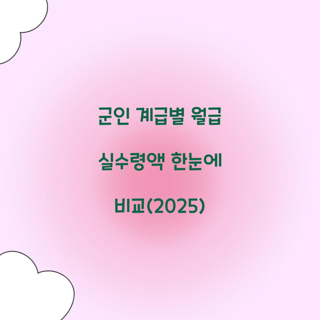 군인 계급별 월급