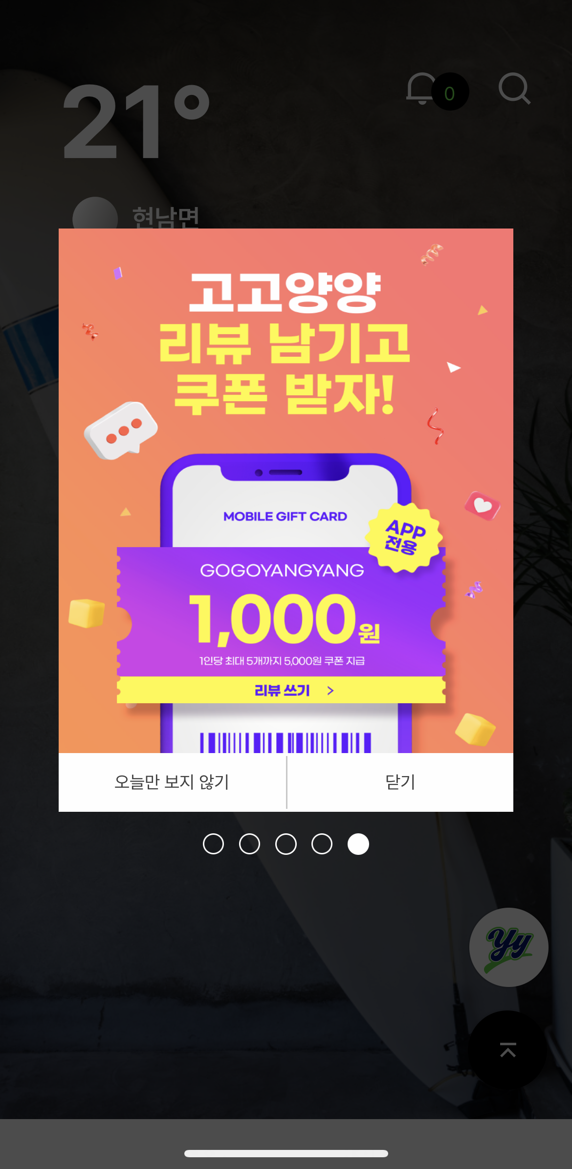 고고양양 리뷰 이벤트