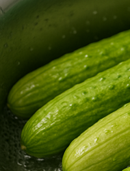 오이지 담그는 방법