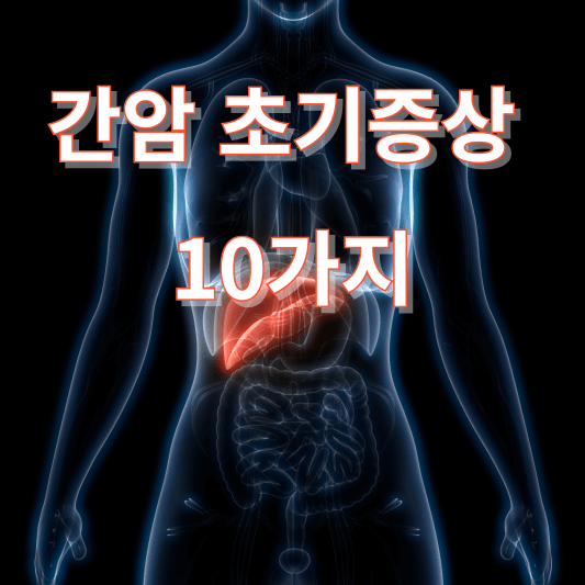 간암 초기증상