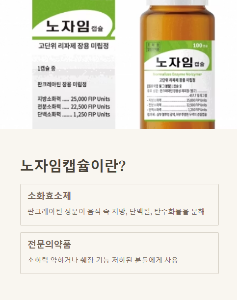 노자임캡슐이란?