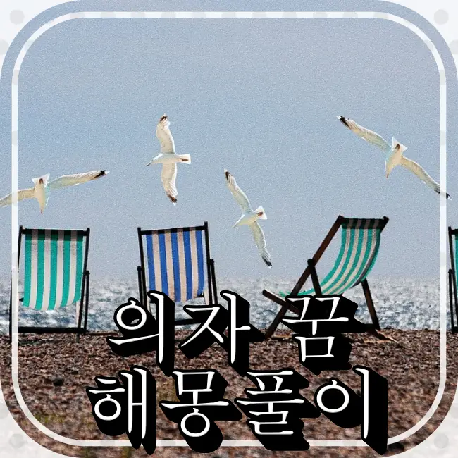 해변에-갈매기가날고있고-의자가-배치됨