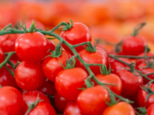 방울토마토 효능