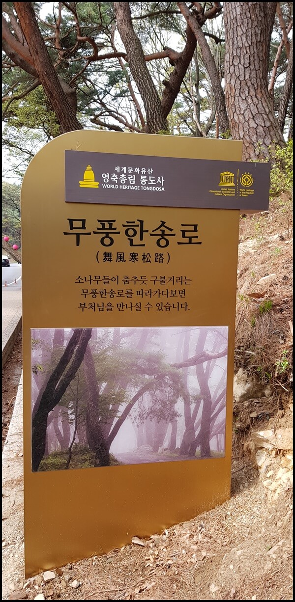 무풍한송로(舞風寒松路)