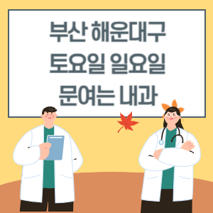 부산 해운대구 토요일 일요일 내과 진료 병원 리스트