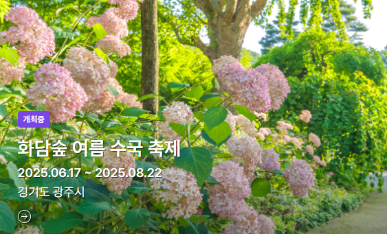 7월 국내 여름 축제 여행코스