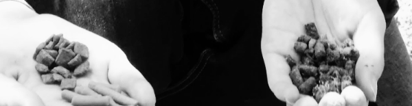 유박비료 사용법: 강아지