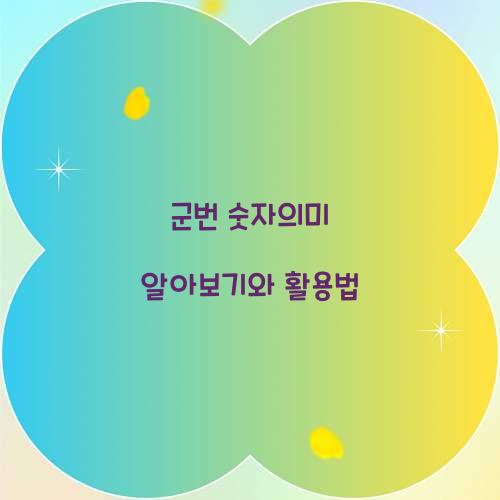 군번 숫자의미