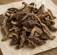 능이버섯 보관방법