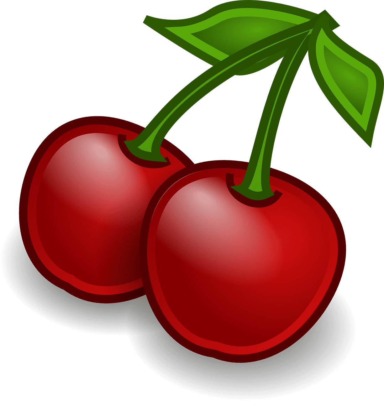 앵두청 만들기 효능 담그는법 황금레시피 보관 방법