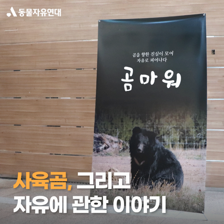 곰마워 다큐 영화 홍보