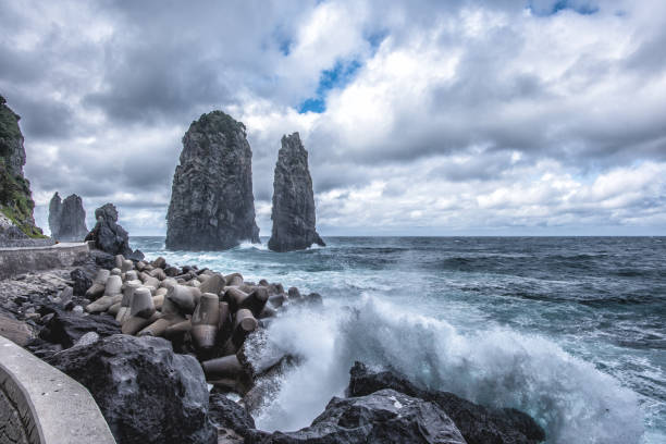 울릉도 독도 2박3일 여행 일정 팁 맛집 완전 총정리