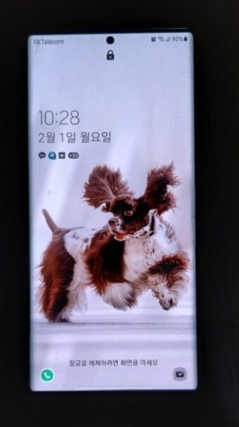 다이내믹 잠금화면 강아지 사진