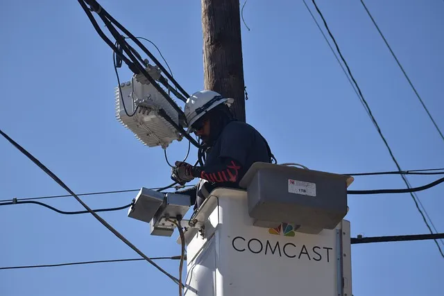 2025년 상반기 전국 봄꽃 임산물 축제 일정 예매_8