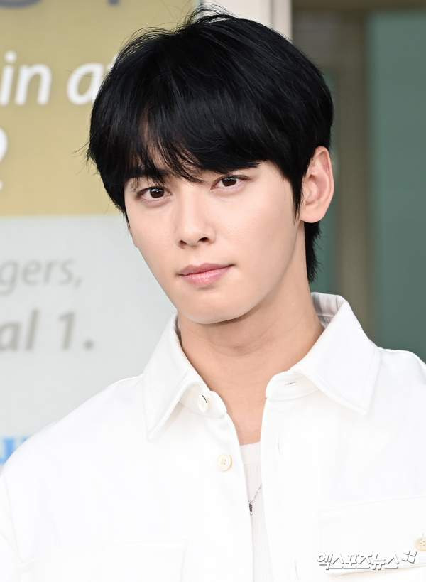 차은우 조세심판 청구 이유: 국세청 130억 세금 완납, 연예인 1인 기획사 실질과세 쟁점 정밀 분석