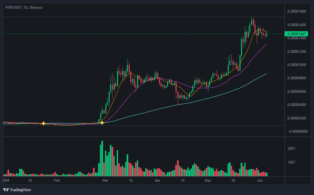 페페 코인 차트 분석