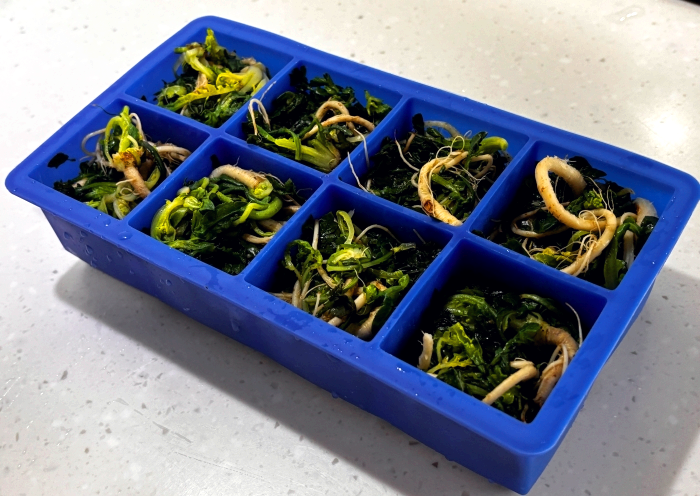 냉이 손질, 냉이 냉동보관법