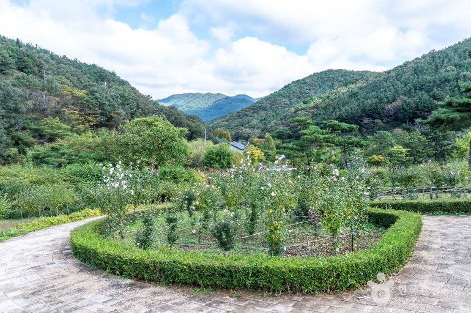 보령 가볼만한곳 베스트 10