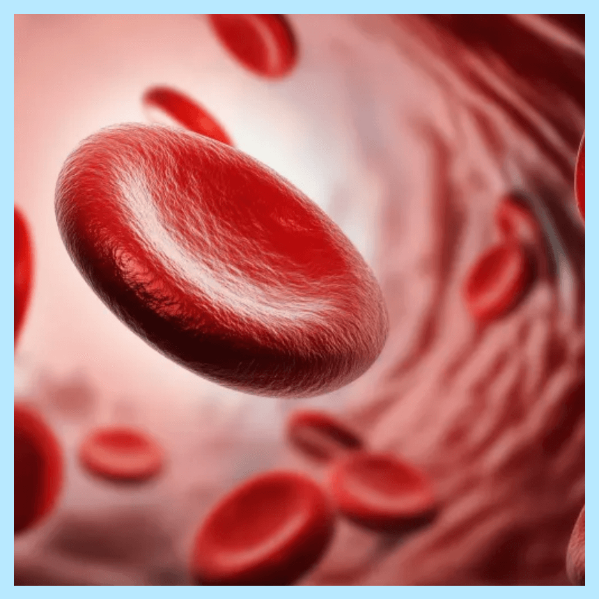 봄철 고지혈증 악화 주의 관련 사진