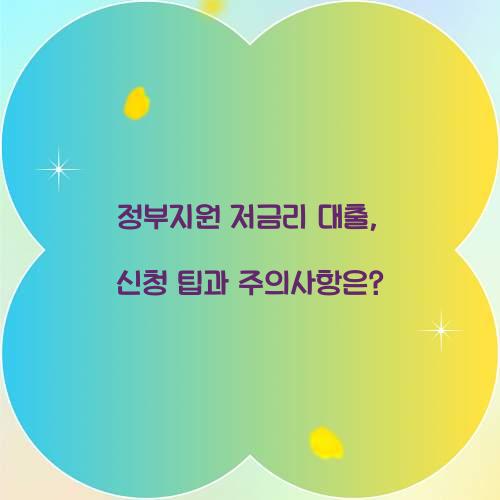 정부지원 저금리 대출