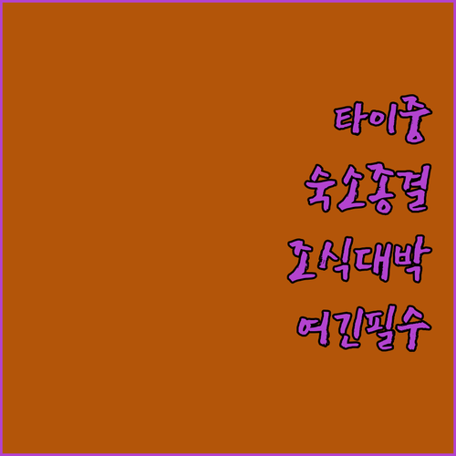 타이중 자유여행 숙소 위치 추천과 조..