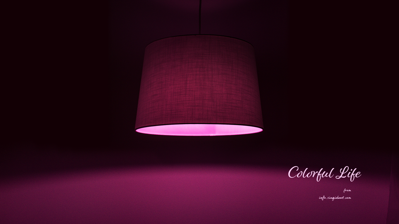 13 자주색 전등 C - Colorful Life 자주색배경화면