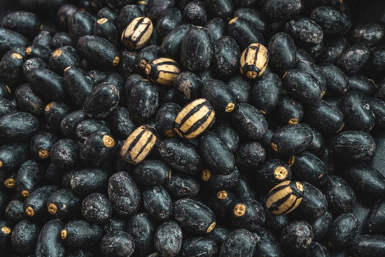 검은 콩, 서리태 기르기! 영양성분/건강이점/심는시기/수확시기/활용음식