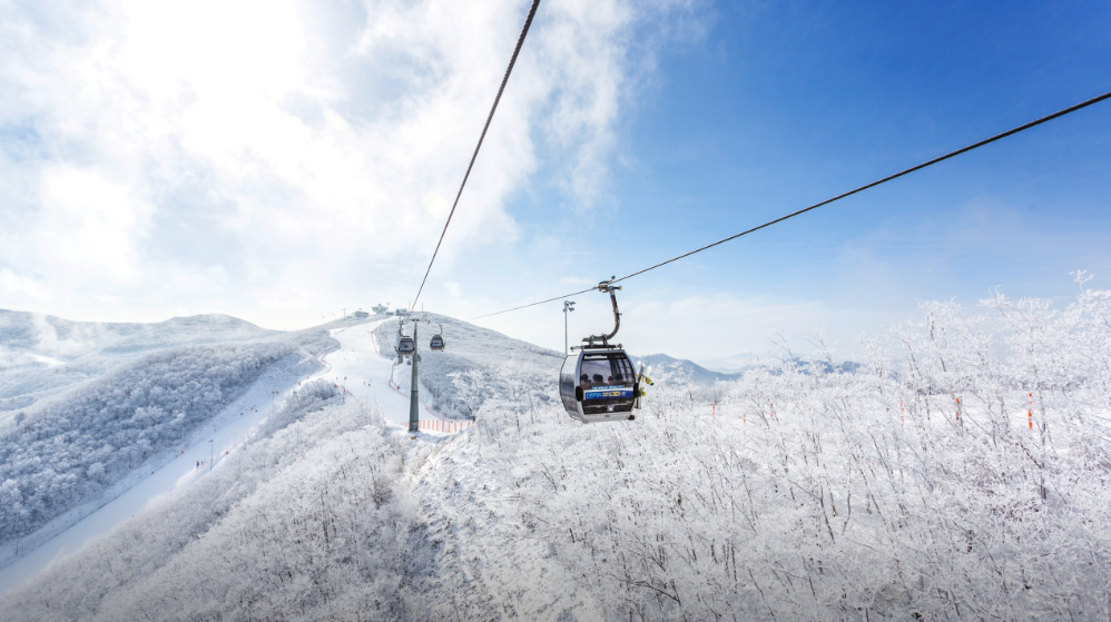 하이원리조트 사진