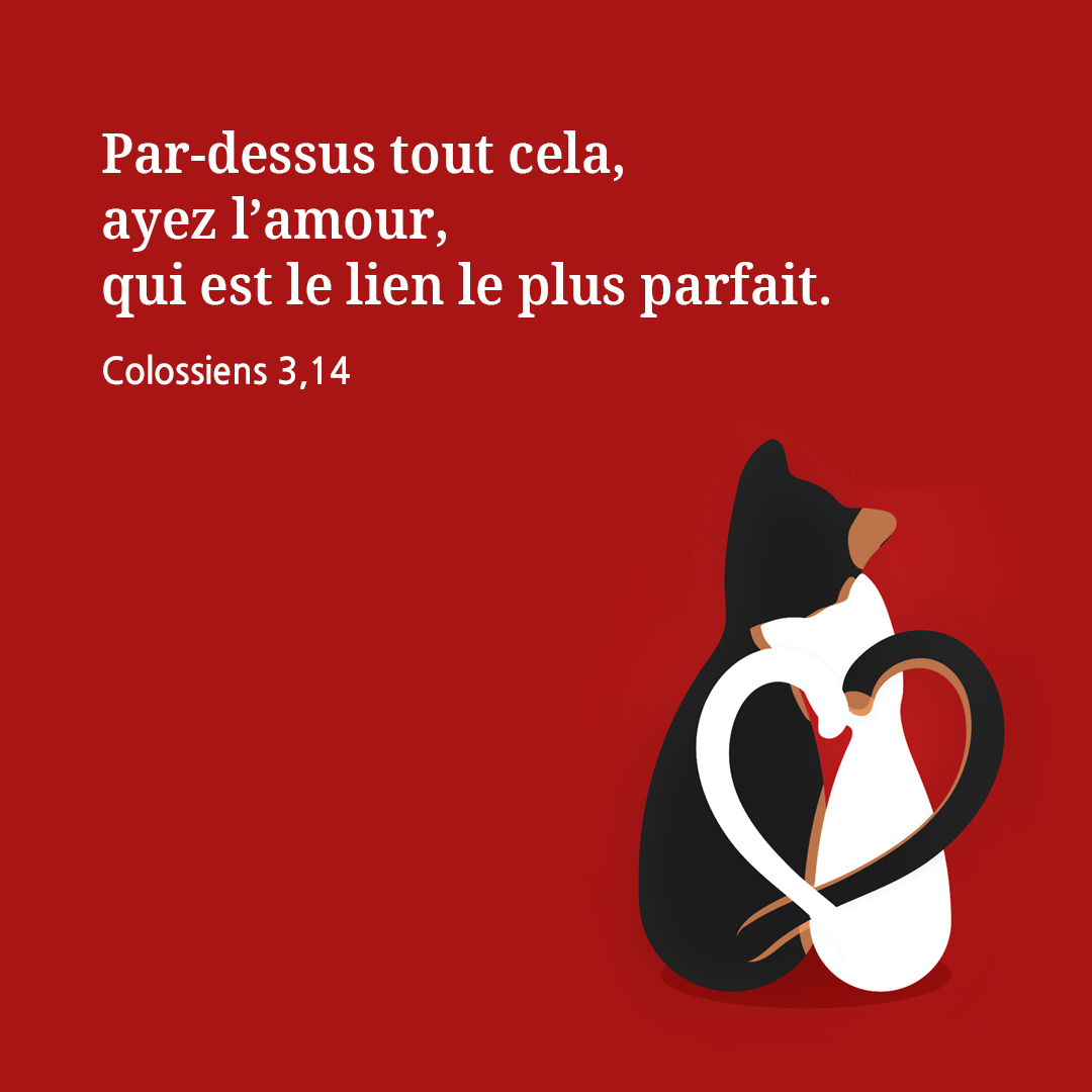 Par-dessus tout cela, ayez l&rsquo;amour, qui est le lien le plus parfait. (Colossiens 3,14)