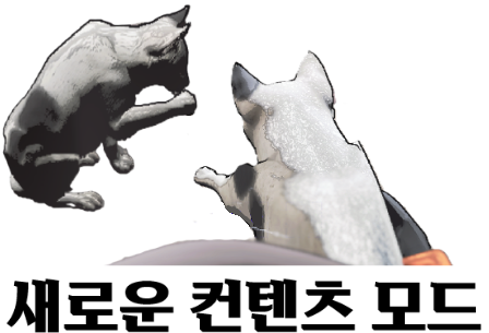 새로운 컨텐츠