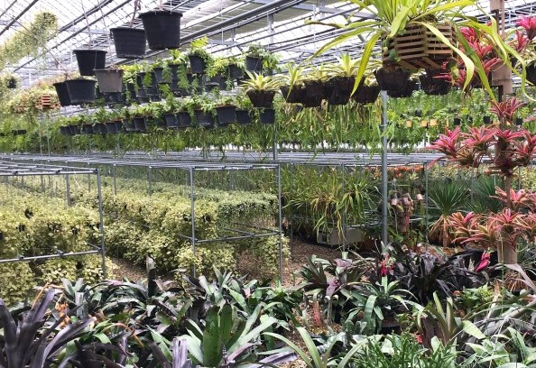 조인폴리아 파주 농장 위치 영업시간 기본정보 및 근처 맛집