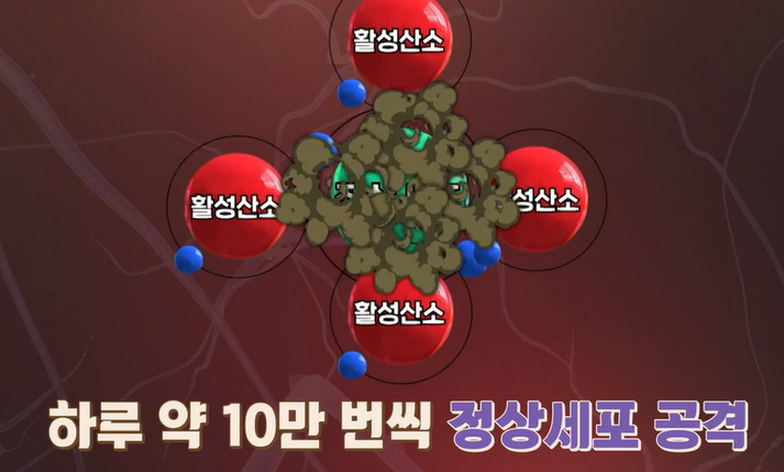 글루타치온 효능