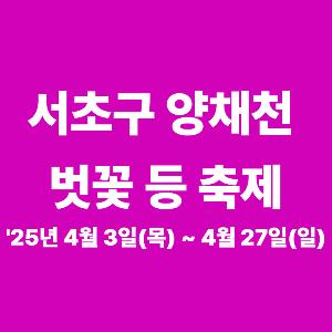 서초구 양재천 벗꽃 등 축제 기간