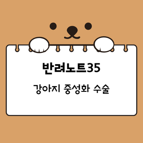 강아지 중성화 수술