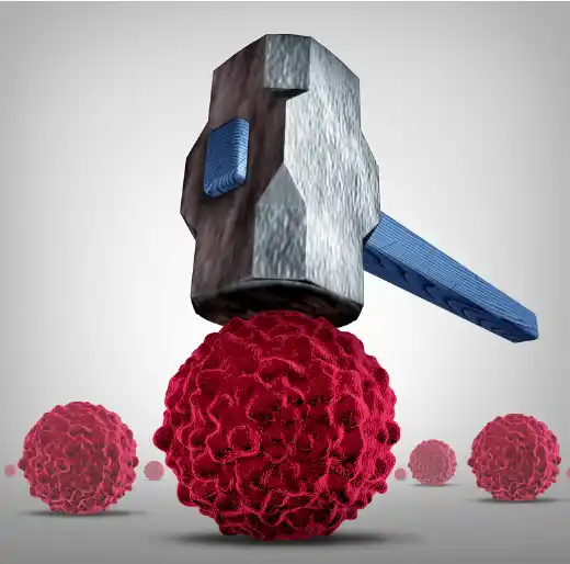 우엉차 효능과 영양성분, 먹는 방법 및 부작용