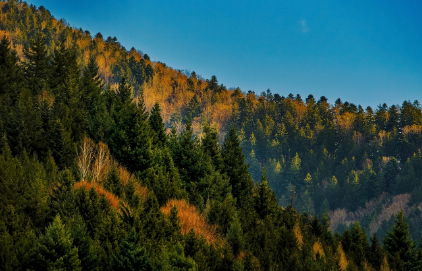철새의 날 맞아 국립수목원 책 발간 광릉수목원 예약하기