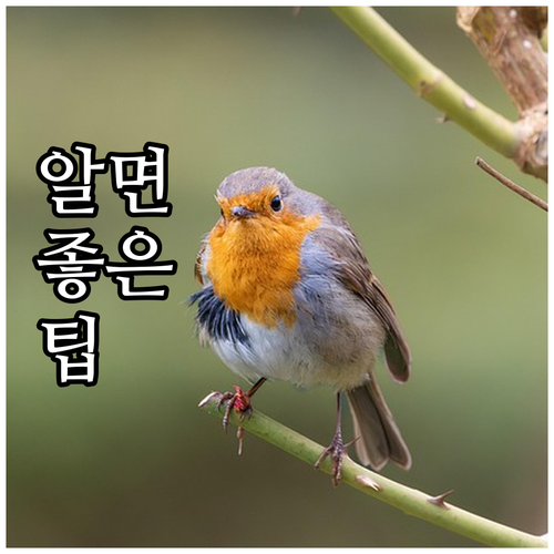 2025년 강북구 장학금 지원 분야 ..