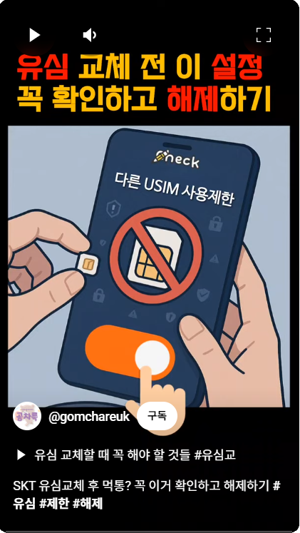 다른-USIM-사용제한-해제하기-동영상