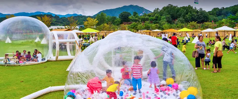 경북 영양 지리산 흑돼지 맛집, 집라인 모노레일, 산삼 축제, 산양삼 전국 택배, 여행 가볼만한 곳 추천